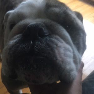 Meet your Posher, Marchello